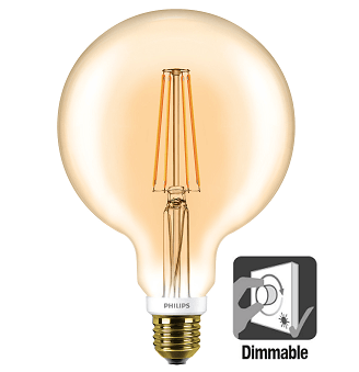fysiek heilig Medewerker Philips LED Globe G120 | Retro | 7 watt | Flame 2000K | Dimbaar | Leds  Refresh