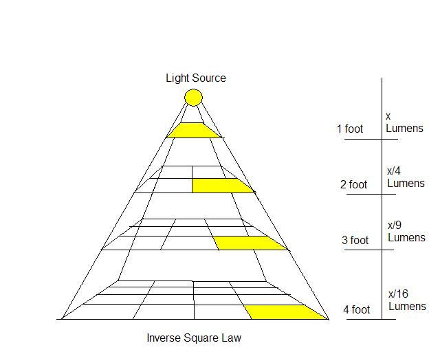 Wat antenne handboeien Hoeveel LED lampen moet ik hebben? | Leds Refresh